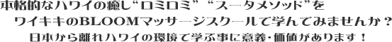 �n���C�̖������~���~��X�[�^���\�b�h���n���C�E���C�L�L�̃}�b�T�[�W�X�N�[���Ŋw�т܂��񂩁H