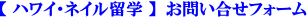 �n���C�E�l�C�����w�@���⍇���t�H�[��