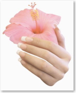 �l�C���e�N�j�V�����E���C�Z���X�E�X�N�[��