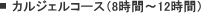 �J���W�F���R�[�X