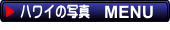 �n���C�̎ʐ^���j���[