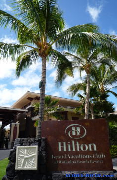 Hilton