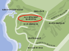 HGVC���C�R���A�r�[�`���]�[�g�ē��}