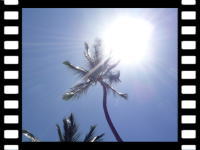 ハワイの空・太陽と月の写真へ