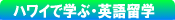 �n���C���w�ׂ̈̉p��w�Z��X�N�[���̂��ē�