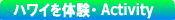 �n���C��̌��E�A�N�e�r�e�B���