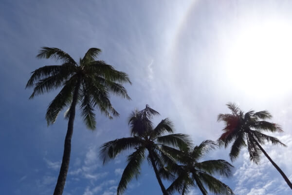 ハワイの空・太陽と月の写真・画像