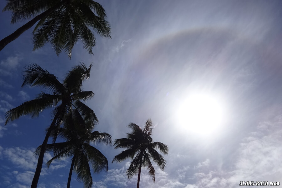 ハワイの空「ワイキキでハロ現象を観測！」