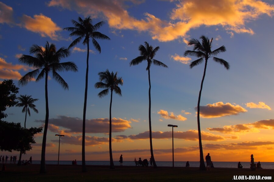 パームツリーとハワイの夕日