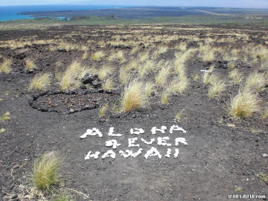 黒い溶岩大地をまっすぐに走るハイウエイ19号線