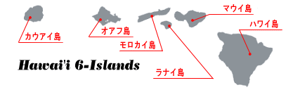 ハワイのホテル一覧 オアフ島に泊まる